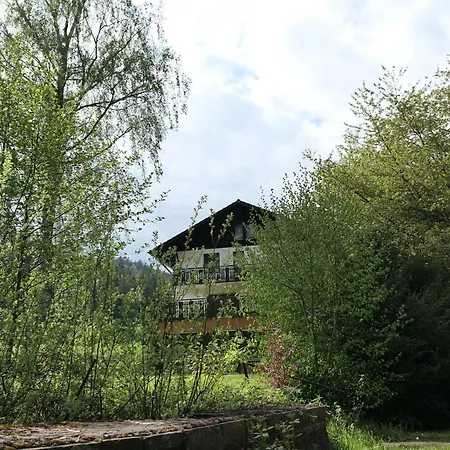 펜션 Freizeitheim Wilhelm-kiefer-haus Mit Grossem Grundstueck, Feuerstelle, Tennisplatz 바드윌드바드