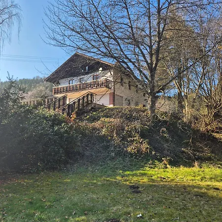 펜션 Freizeitheim Wilhelm-kiefer-haus Mit Grossem Grundstueck, Feuerstelle, Tennisplatz 바드윌드바드