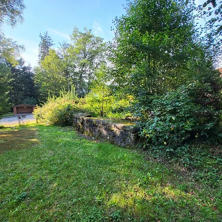 Freizeitheim Wilhelm-kiefer-haus Mit Grossem Grundstueck, Feuerstelle, Tennisplatz 펜션