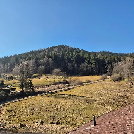 Freizeitheim Wilhelm-kiefer-haus Mit Grossem Grundstueck, Feuerstelle, Tennisplatz Prázdninový dům Bad Wildbad